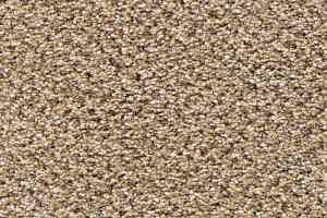 Ковролин AW Stainway Tweed 50 фото  | FLOORDEALER